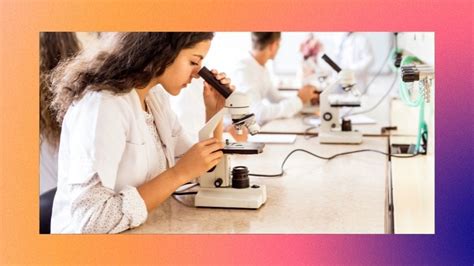 College Courses You Can Pursue if You Took the STEM .